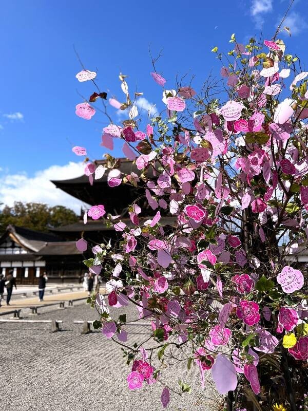 第26回　花まつフラワーデザイン展『花心論2024』国宝高岡山瑞龍寺にて10月5日(土)～6日(日)に開催します