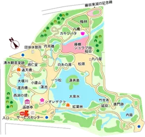 3/13開催　小石川後楽園「庭さんぽ」　親方とともに庭園を歩きながら～小石川後楽園の松を知る～