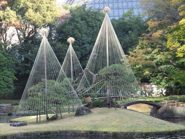 3/13開催　小石川後楽園「庭さんぽ」　親方とともに庭園を歩きながら～小石川後楽園の松を知る～