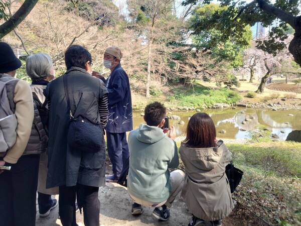 3/13開催　小石川後楽園「庭さんぽ」　親方とともに庭園を歩きながら～小石川後楽園の松を知る～