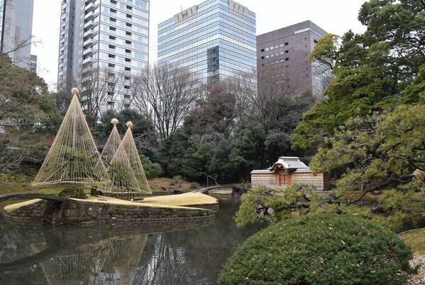3/13開催　小石川後楽園「庭さんぽ」　親方とともに庭園を歩きながら～小石川後楽園の松を知る～