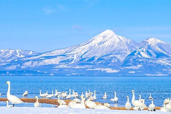 大江戸温泉物語グループ 東北エリアのホテル・宿 「冬のおでかけスポット」特集ページを公開