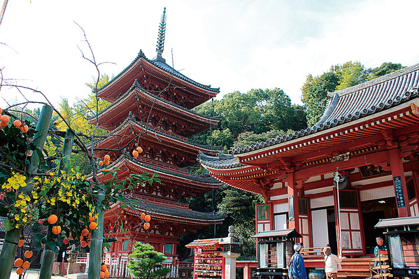 【広島県福山市】路線バス運賃無料ウィークを12月18日（水曜日）～24日（火曜日）に実施します