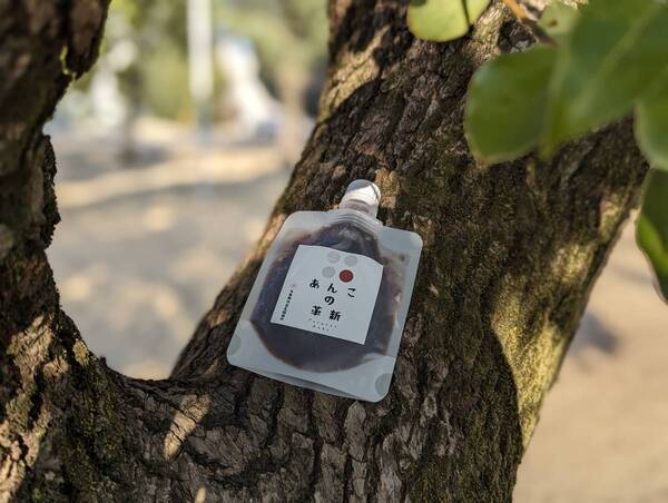 発酵あんこ革命！美味しさと健康を兼ね備えた新商品発売