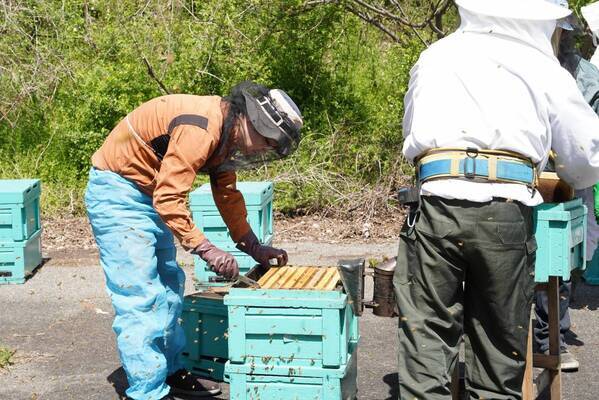 2024年最初のはちみつを“採れたて 5 日”で新発売 ハニーハンターが大阪で直接買い付けた「新蜜」 さくら蜂蜜をフレッシュなローハニー（生蜂蜜）で食べてみて