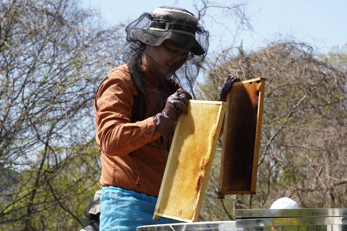 2024年最初のはちみつを“採れたて 5 日”で新発売 ハニーハンターが大阪で直接買い付けた「新蜜」 さくら蜂蜜をフレッシュなローハニー（生蜂蜜）で食べてみて