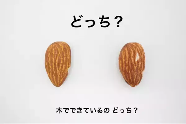 いま注目の展覧会が広島で初開催！どっちが木で、どっちが本物？「キボリノコンノ展 食べたい！木彫りアートの世界」来年2月28日から広島三越にて開催！