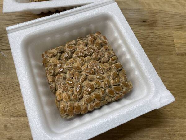 いま注目の展覧会が広島で初開催！どっちが木で、どっちが本物？「キボリノコンノ展 食べたい！木彫りアートの世界」来年2月28日から広島三越にて開催！