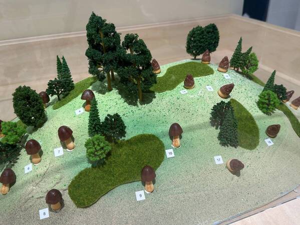 いま注目の展覧会が広島で初開催！どっちが木で、どっちが本物？「キボリノコンノ展 食べたい！木彫りアートの世界」来年2月28日から広島三越にて開催！