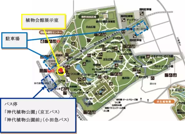 神代植物公園でグランドピアノを弾こう！「みんなのピアノ in 植物園」7月30日(火)から開催