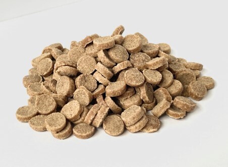 ～地域資源を活用した日本の海洋環境、磯焼け問題を解決するプロジェクト～　イスズミやアイゴなど低利用魚を活用したドッグフード商品化に向け2024年3月1日（金）からクラウドファンディング開始