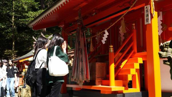 大阪国際大学・大阪国際大学短期大学部の学生が高級ブランド茶を生産する京都府南山城村中窪製茶園で出品茶摘みに協力