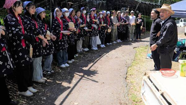 大阪国際大学・大阪国際大学短期大学部の学生が高級ブランド茶を生産する京都府南山城村中窪製茶園で出品茶摘みに協力