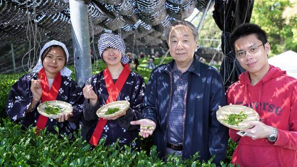 大阪国際大学・大阪国際大学短期大学部の学生が高級ブランド茶を生産する京都府南山城村中窪製茶園で出品茶摘みに協力