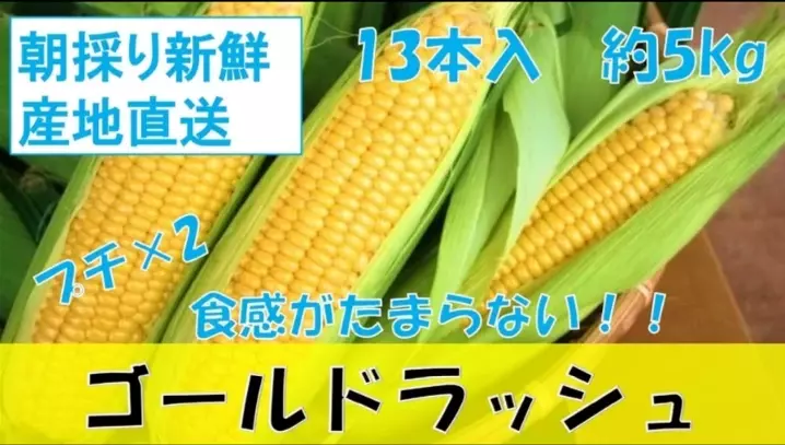 数量限定！「ＪＡタウン」のショップ「タウンショップみやぎ」で プチプチ食感の宮城県産とうもろこし「ゴールドラッシュ」を販売中！ ～７月２５日までの期間限定！！～