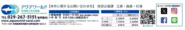 茨城ロボッツとのコラボレーションイベント アクアワールド・大洗×茨城ロボッツ 『AQUAWORLD OARAI ARENA』 期間：２０２４年２月１０日（土）～３月２４日（日）
