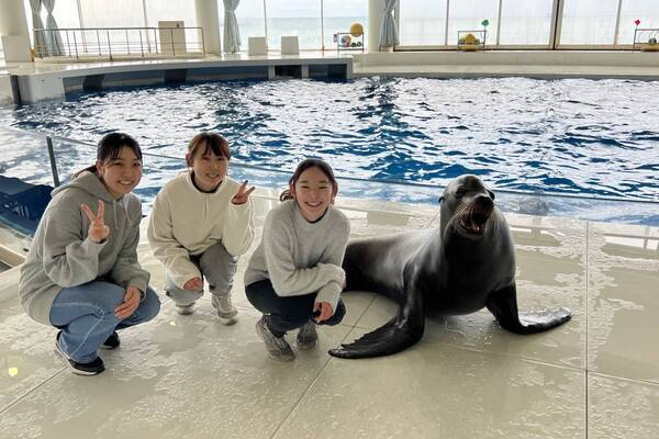 茨城ロボッツとのコラボレーションイベント アクアワールド・大洗×茨城ロボッツ 『AQUAWORLD OARAI ARENA』 期間：２０２４年２月１０日（土）～３月２４日（日）