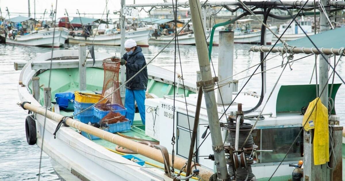 朝どれ鮮魚と海鮮グルメを堪能できる「うお市in大阪北港マリーナ」が2024年11月10日（日）に開催決定！