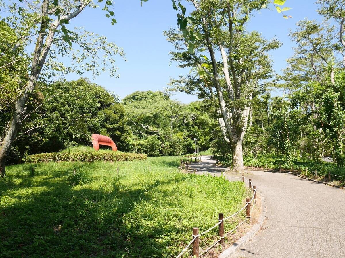 緑豊かな「芸術の丘」での鑑賞体験を思い出に！ 静岡県立美術館ミュージアムショップが 2024年７月18日(木)にリニューアルオープン！