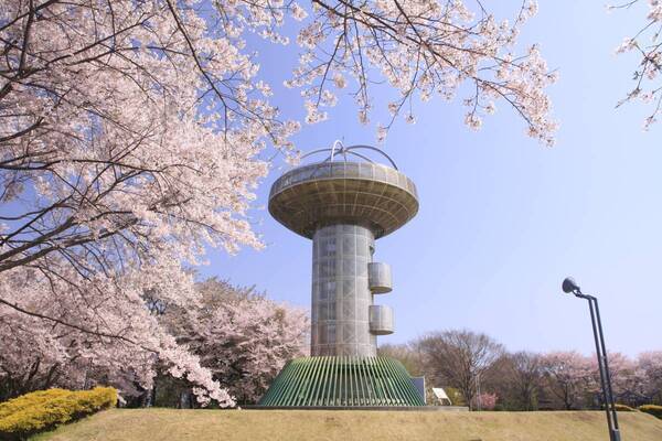 【茨城県日立市】伝統芸能「日立風流物」と「日立のささら」が５年ぶりに公開！４月１日（月）～１４日（日）「第５９回日立さくらまつり」開催！