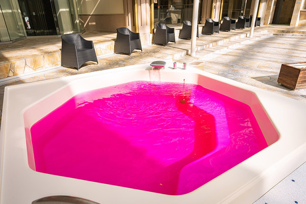 【大江戸温泉物語　ホテルレオマの森（香川県）】 メニュー一新のランチバイキングが3月2日スタート！