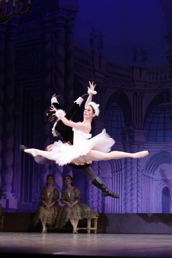 【日吉綱島 新店】『めるもバレエ』オープン記念豪華特典！月謝申込でレッスン10回無料サービス