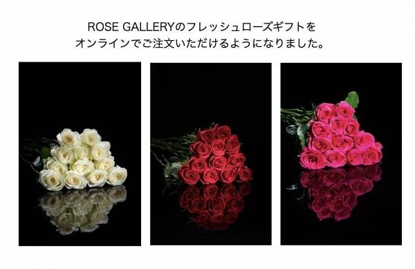 ROSE GALLERY 生成AI画像コンテスト開催！テーマはクリスマスプロポーズ