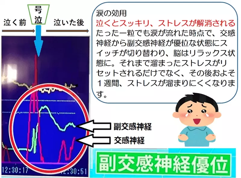 泣けない人を泣けるようにする個別涙活（るいかつ）相談会を感涙療法士が10月27日に神奈川・鎌倉の「鎌人いち場」で実施します。