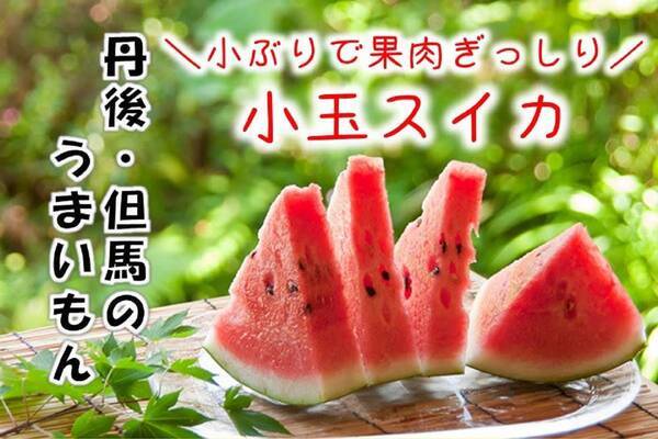 【祝！美食都市アワード受賞記念】甘〜い久美浜砂丘メロンor久美浜産小玉スイカ付プラン予約受付中。京都府京丹後市「久美の浜 みなと悠悠」