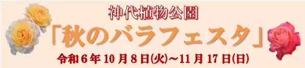 神代植物公園「秋のバラフェスタ」10/8（火）～開催！