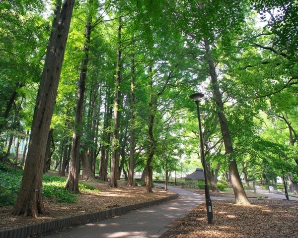 ランニングイベント「芝RUN」6月29日(土)芝公園で開催！