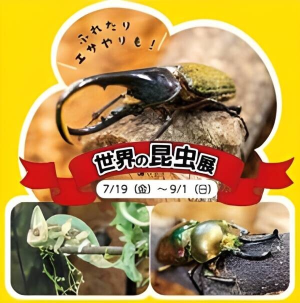 まだ間に合う！夏の自由研究のネタ特集