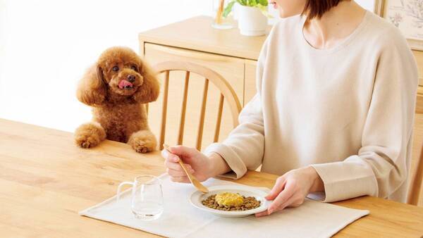【今だけ送料無料】食いつきUP！「ドライフードだけでは食べない」愛犬のお悩みから誕生。食べる喜びをプラスする、フリーズドライのトッピングお試しキャンペーン中！