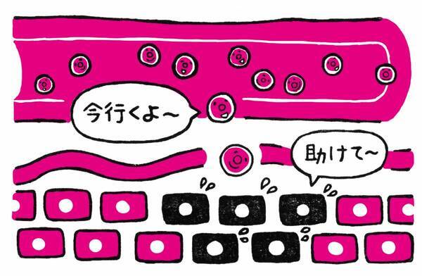 若返りと健康のカギ！ 注目の「幹細胞」を名医が解説『すごい幹細胞』7/18発売 ～「老けない人」の7つの習慣や食事術を大公開～