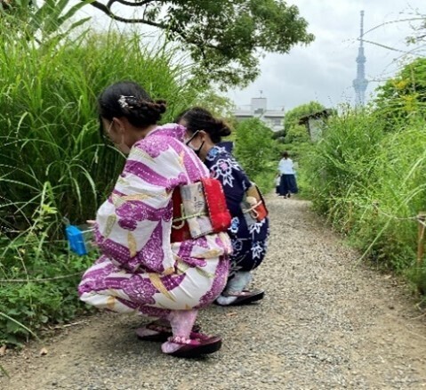 【向島百花園】伝統行事「虫ききの会」「月見の会」「萩まつり」を開催します（8/22～10/1）