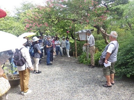 【向島百花園】伝統行事「虫ききの会」「月見の会」「萩まつり」を開催します（8/22～10/1）