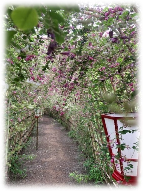 【向島百花園】伝統行事「虫ききの会」「月見の会」「萩まつり」を開催します（8/22～10/1）