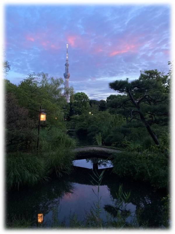 【向島百花園】伝統行事「虫ききの会」「月見の会」「萩まつり」を開催します（8/22～10/1）