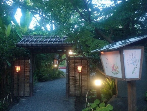 【向島百花園】伝統行事「虫ききの会」「月見の会」「萩まつり」を開催します（8/22～10/1）