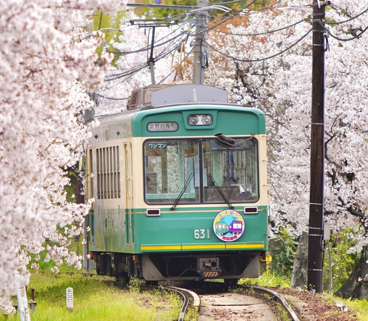 江ノ電・嵐電 姉妹提携１５周年記念　特別車両 江ノ電「江ノ電・嵐電　姉妹提携号」、嵐電 新「江ノ電号」を運行開始。