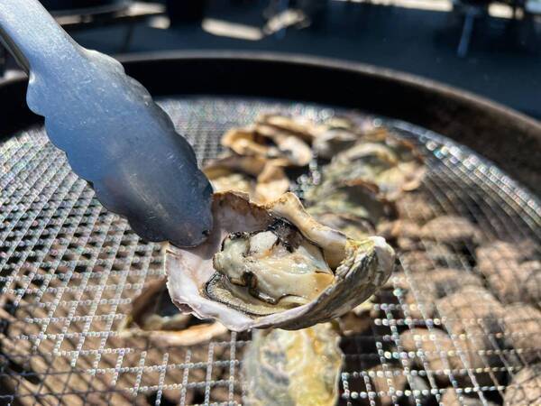 【BBQ&Co】兵庫・明石発！「明石牡蠣」の特別販売イベント、5月18日・19日に明石市大蔵海岸のBBQ場「ZAZAZA」で開催！バーベキューアンドコーが地元牡蠣養殖会社と協力！