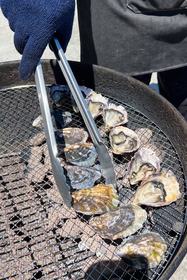 【BBQ&Co】兵庫・明石発！「明石牡蠣」の特別販売イベント、5月18日・19日に明石市大蔵海岸のBBQ場「ZAZAZA」で開催！バーベキューアンドコーが地元牡蠣養殖会社と協力！