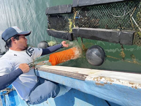 【BBQ&Co】兵庫・明石発！「明石牡蠣」の特別販売イベント、5月18日・19日に明石市大蔵海岸のBBQ場「ZAZAZA」で開催！バーベキューアンドコーが地元牡蠣養殖会社と協力！