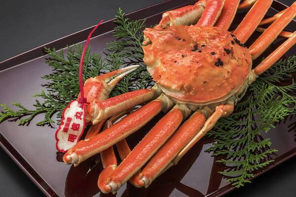【蟹と温泉】2025初旅　丹後の地酒とタグ付き松葉蟹で祝う新年の宴　海の京都・夕日ヶ浦温泉「一望館 はなれ櫂」