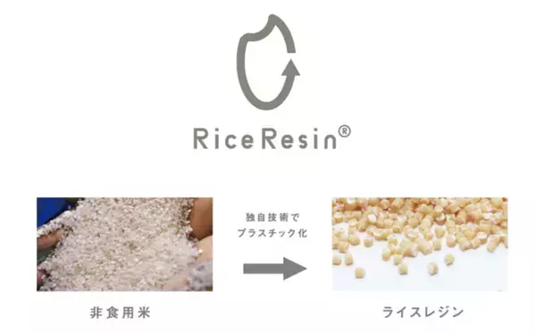 【花×SDGs】フラワーショップで食用に適さない国産のお米を原料に使ったレジ袋の導入