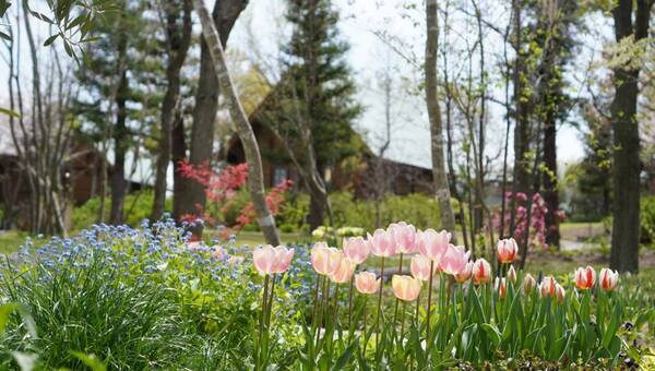 【ロッジ舞洲】春風に誘われて「ピクニックガーデン舞洲」へ！特別宿泊プランで自然満喫！特別なひとときを「ホテル・ロッジ舞洲」で！