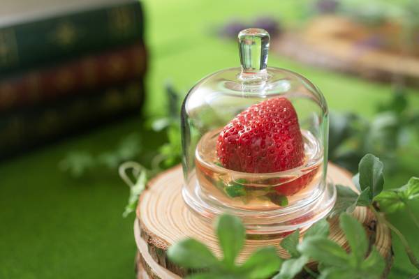 ホテル京阪 京橋 グランデ　レストラン「ロレーヌ」 “春のガーデン”をイメージした「苺スイーツビュッフェ」を ２０24年2月17日（土）から土日祝日限定で開催！