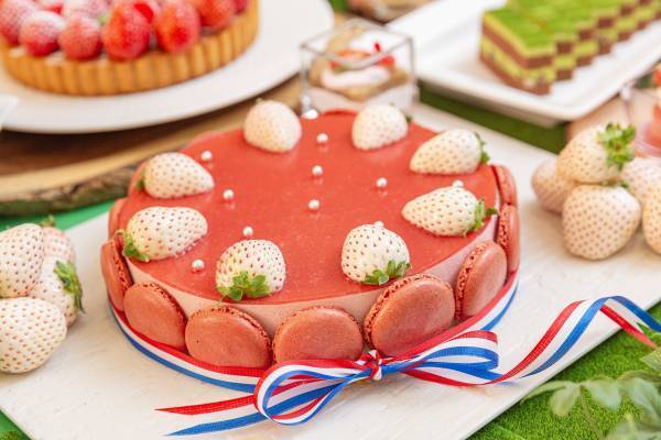 ホテル京阪 京橋 グランデ　レストラン「ロレーヌ」 “春のガーデン”をイメージした「苺スイーツビュッフェ」を ２０24年2月17日（土）から土日祝日限定で開催！