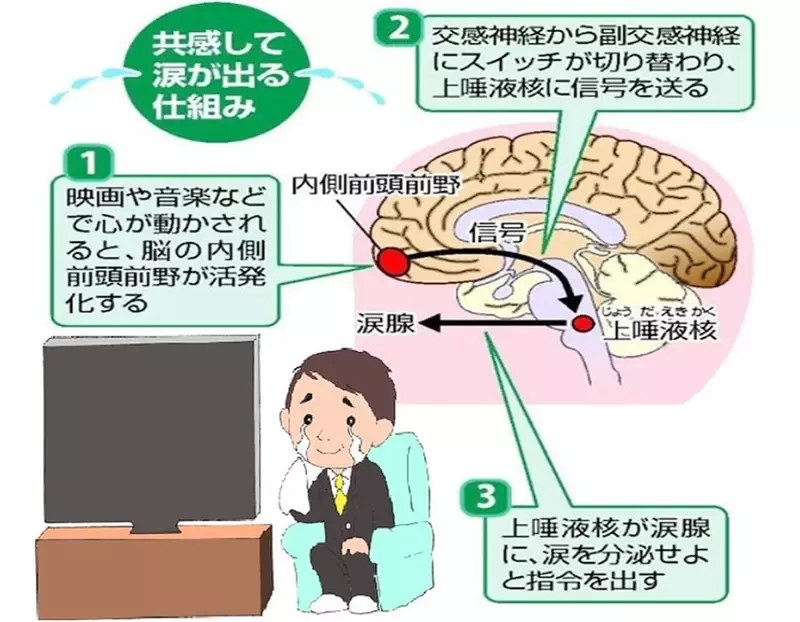 看護師等に感動の涙でストレス解消させる、「なみだ先生」こと感涙療法士の吉田英史が,意欲的に仕事に向き合えるよう看護師のストレス緩和を目的に、北空知支部働き続けられる職場づくり推進委員会主催のオンライン「涙活（るいかつ）」研修を10月26日に実施