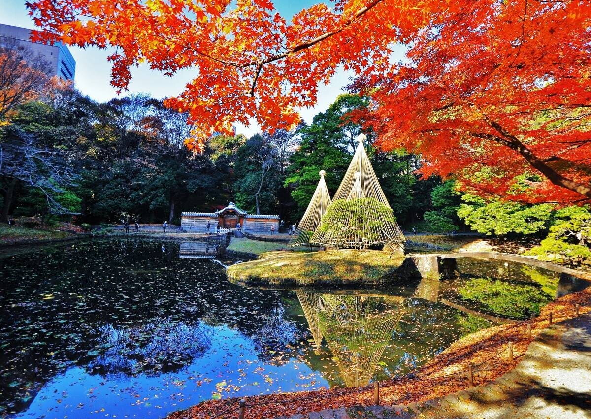 【11/1から募集スタート】秋のTOKYO Instagramフォトコンテスト2024 ～都立公園・庭園・隅田川でたのしむ秋～